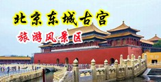 大屌插小穴的直播中国北京-东城古宫旅游风景区